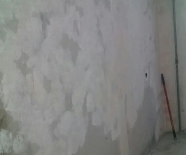 Отделка стен в квартире декоративной штукатуркой. Фото и описание процесса!