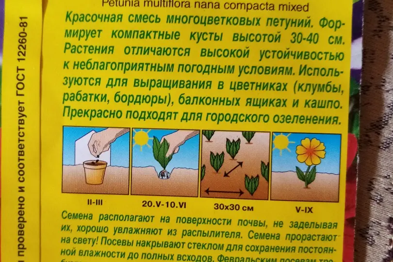 Как я сажаю петунию