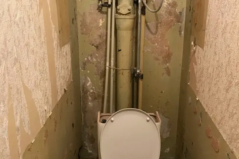 Как сделать туалет самой яркой комнатой в доме