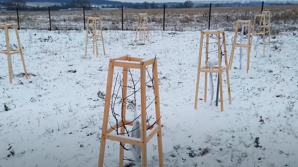 Как самостоятельно сделать укрытие для саженцев