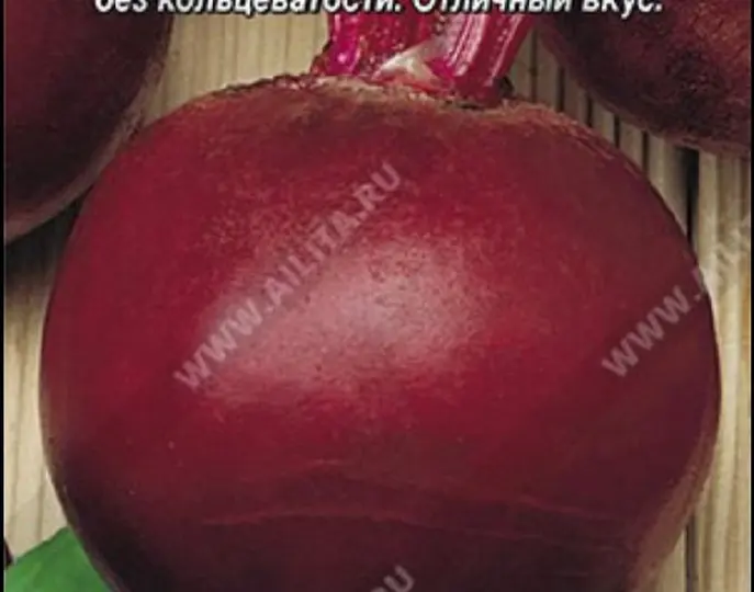 Делюсь своим опытом выращивания свеклы