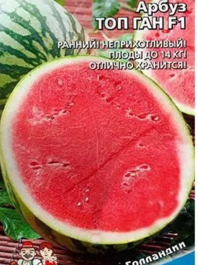 Урожай сладких дынь и арбузов: выращиваю не первый год, делюсь опытом