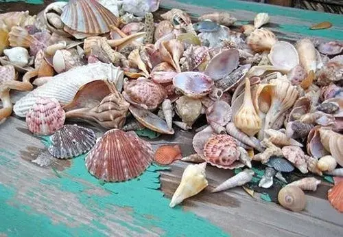Интересный и полезный подарок своими руками: декорированные рамки
