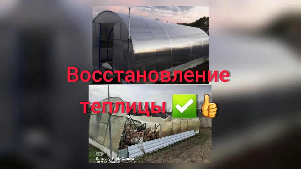 Как защитить растения в теплице от жары