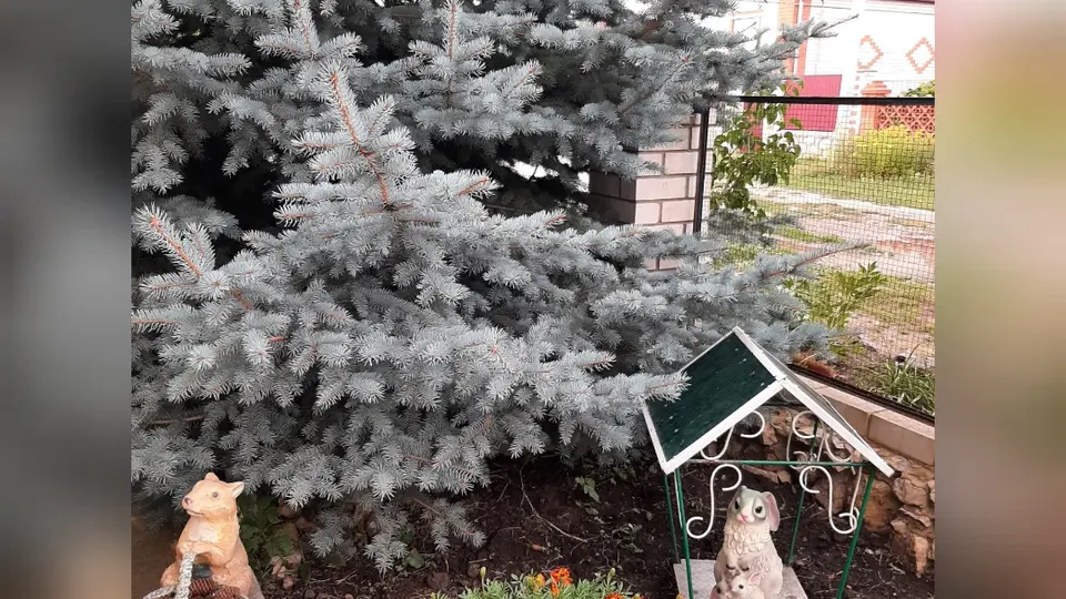 Как продлить жизнь садовым фигурам из гипса?